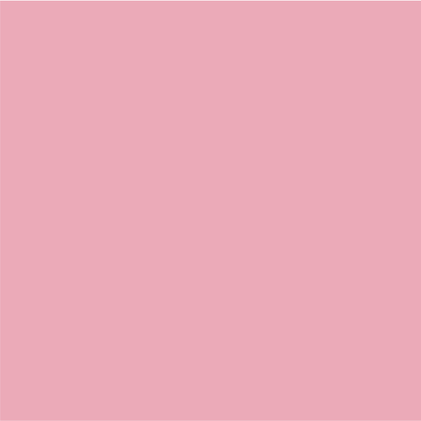 Pink - NCR Invoice Pads